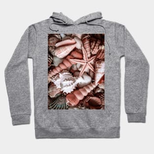 Summer Sea Shells Beach Travel Vacation Hoodie